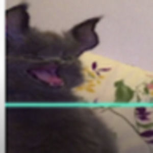 Meet your Posher, Nicole clemons